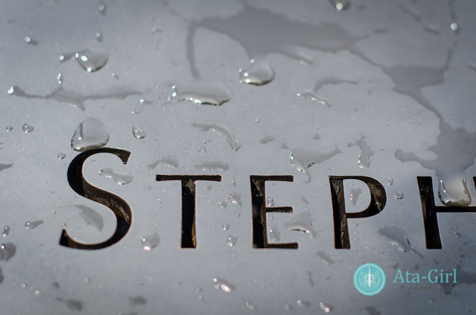 new_york_city_photograph_wedding__atagirl_photographyd7i_2141
