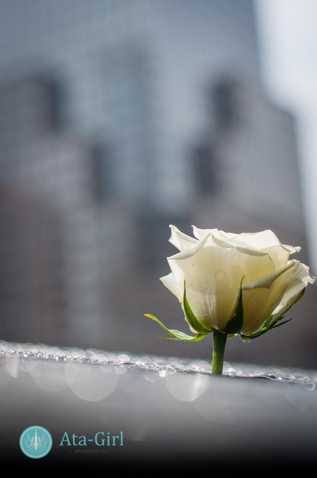 new_york_city_photograph_wedding__atagirl_photographyd7i_2156