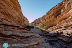 san-antonio-photographer-big-bend-national-park-P1030679