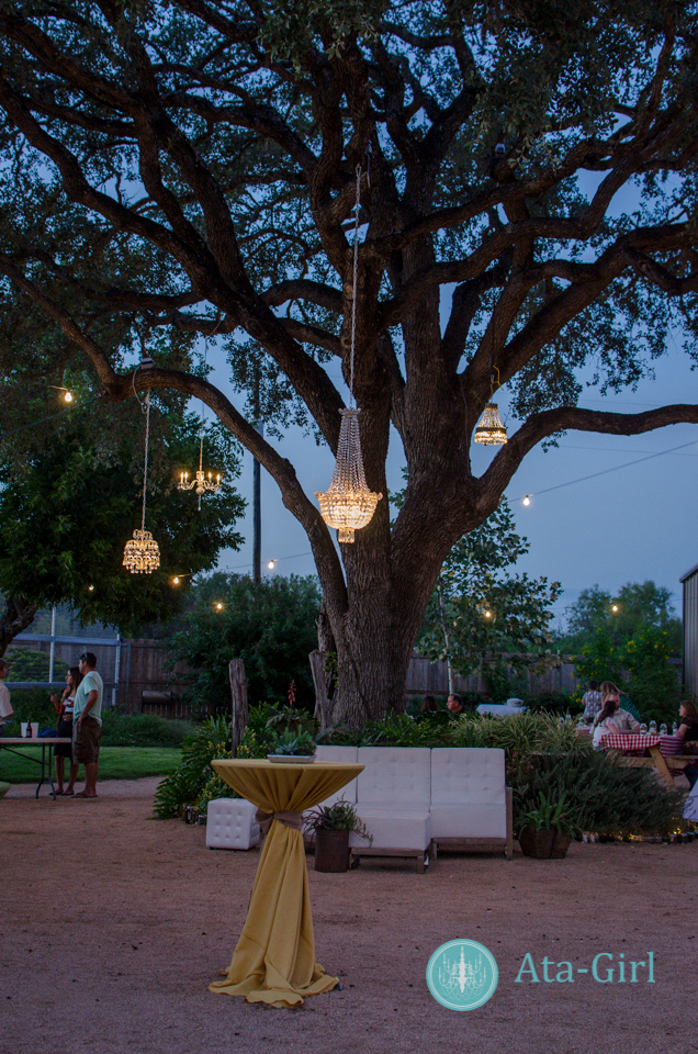 san_antonio_wedding_photographers_atagirl_photographyd7i_4487