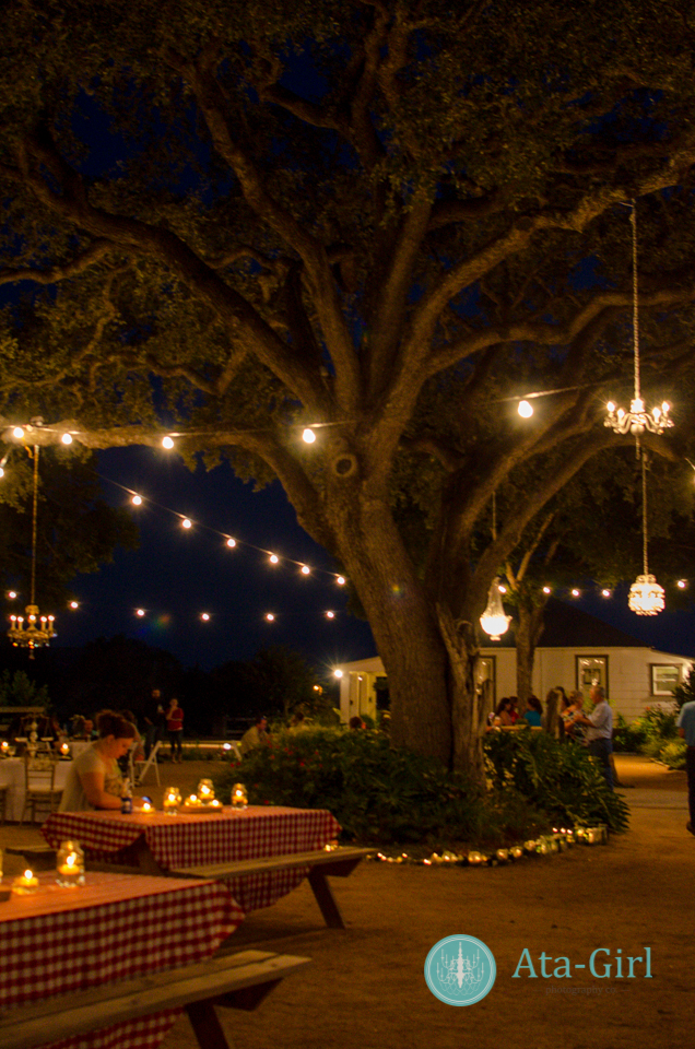 san_antonio_wedding_photographers_atagirl_photographyd7i_4499