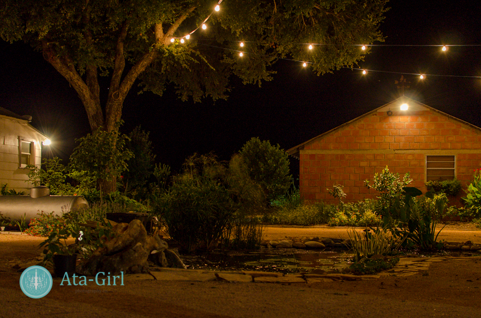 san_antonio_wedding_photographers_atagirl_photographyd7i_4500