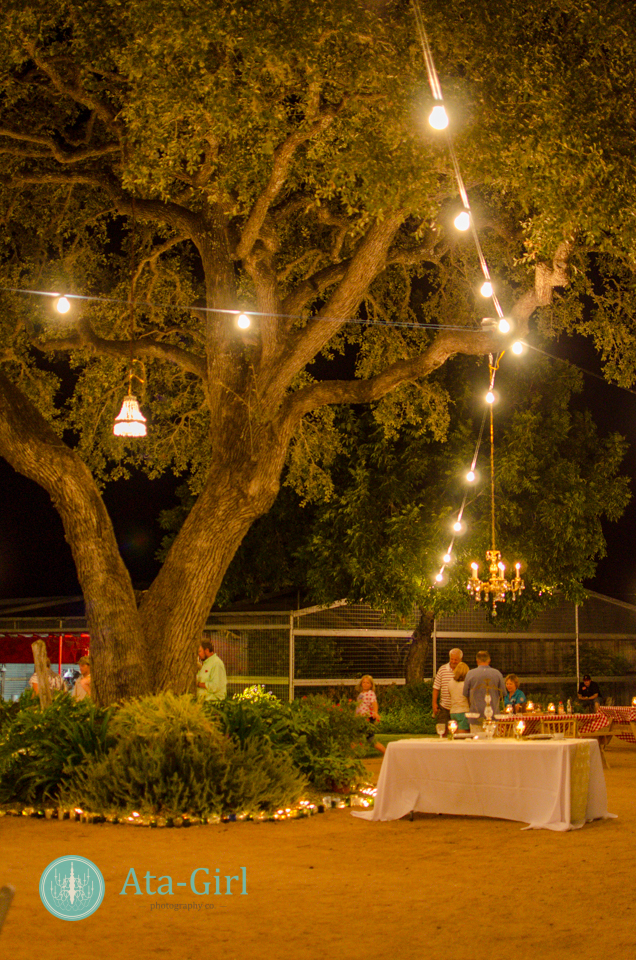 san_antonio_wedding_photographers_atagirl_photographyd7i_4503