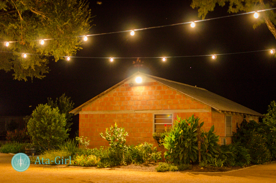 san_antonio_wedding_photographers_atagirl_photographyd7i_4504