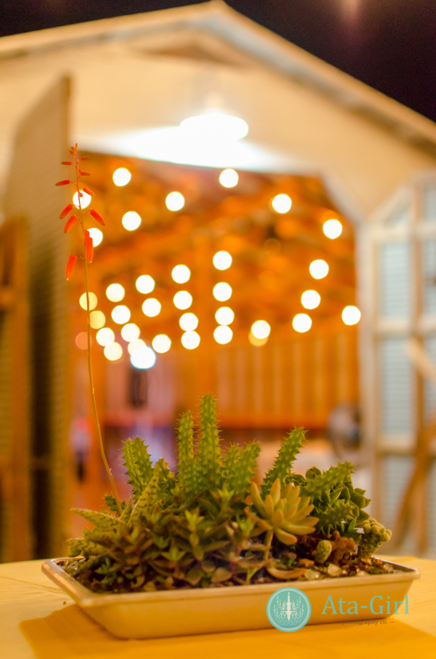 san_antonio_wedding_photographers_atagirl_photographyd7i_4522-edit