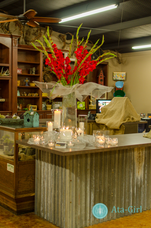 san_antonio_wedding_photographers_atagirl_photographyd7i_4538