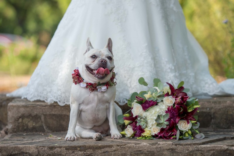 san-antonio-wedding-photographers-atagirl-_4S15962