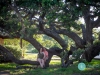 san_antonio_wedding_photographers_atagirl_photographyd7i_0665