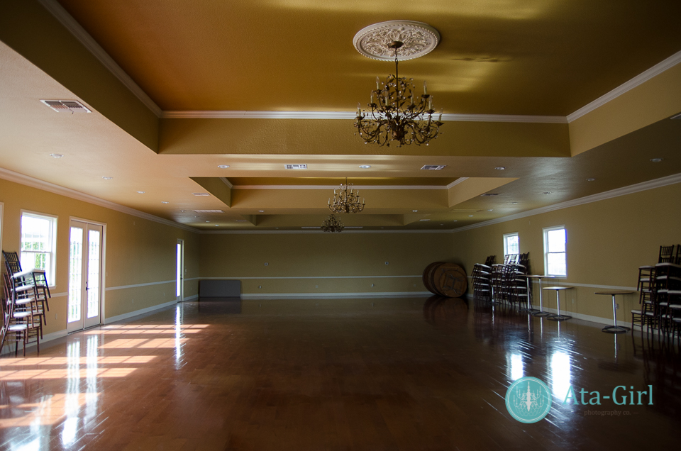south texas hill country wedding venue san_antonio_wedding_photographers_atagirl_photographyd72_9848