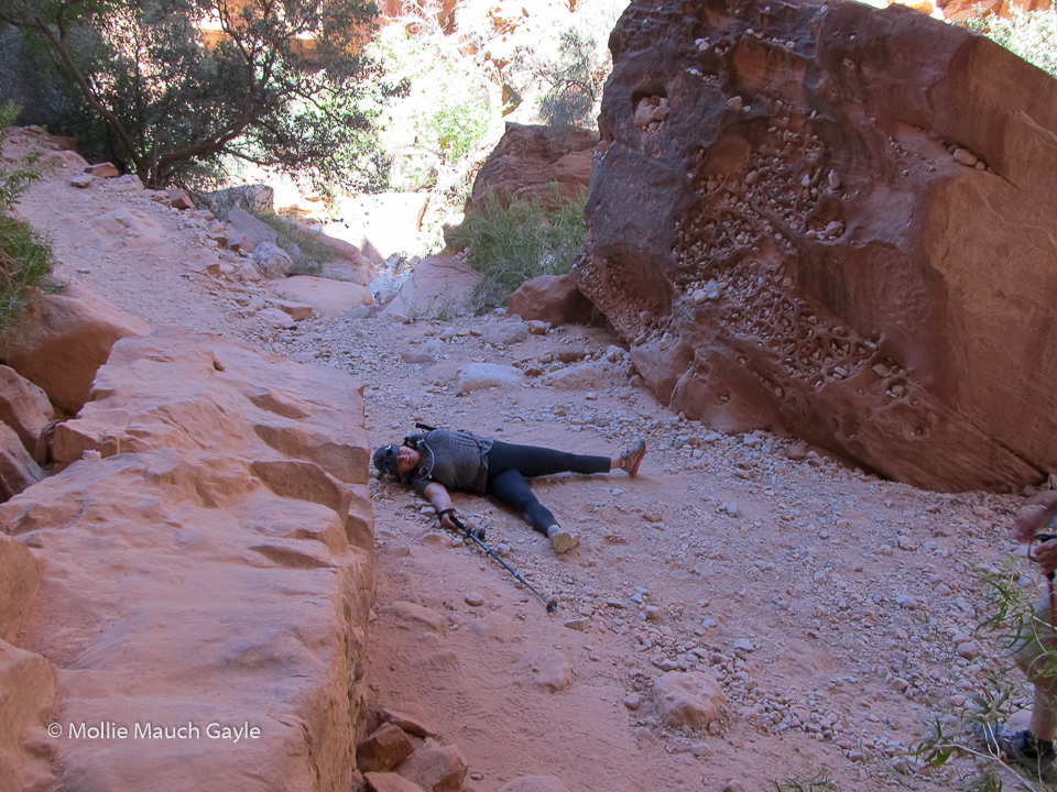 havasu_falls_arizona_wedding_photographer_File_Oct_18,_12_26_30_PM