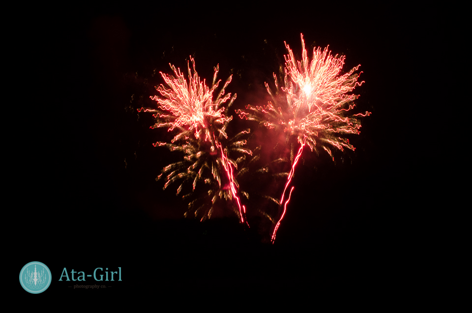 fireworks_san_antonio_wedding_photographers_atagirl_photographyD72_8225