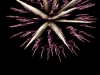 fireworks_san_antonio_wedding_photographers_atagirl_photographyD72_8183