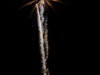 fireworks_san_antonio_wedding_photographers_atagirl_photographyD72_8213