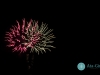 fireworks_san_antonio_wedding_photographers_atagirl_photographyD72_8220