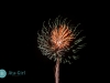 fireworks_san_antonio_wedding_photographers_atagirl_photographyD72_8254