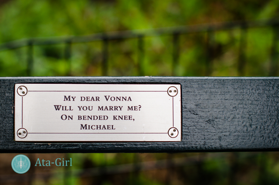 centra_park_benches_wedding_photographers_atagirl_photographyd7i_1759-jpg
