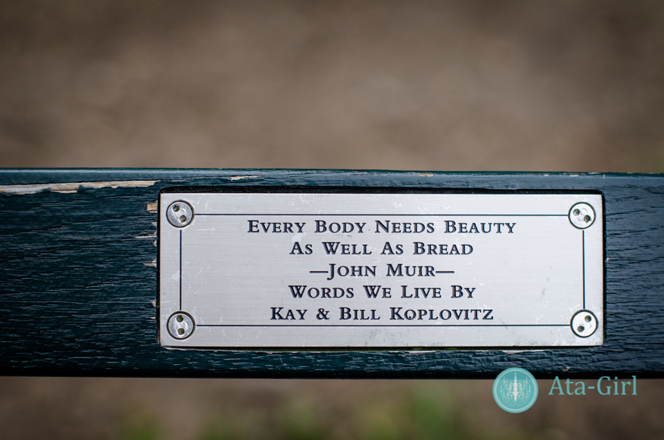 centra_park_benches_wedding_photographers_atagirl_photographyd7i_1769-jpg