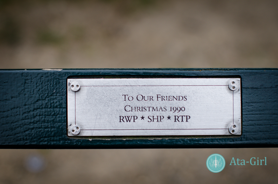 centra_park_benches_wedding_photographers_atagirl_photographyd7i_1770-jpg