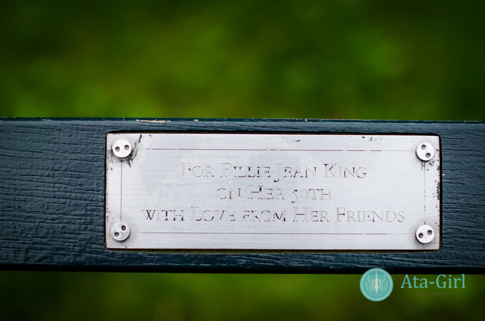 centra_park_benches_wedding_photographers_atagirl_photographyd7i_1771-jpg