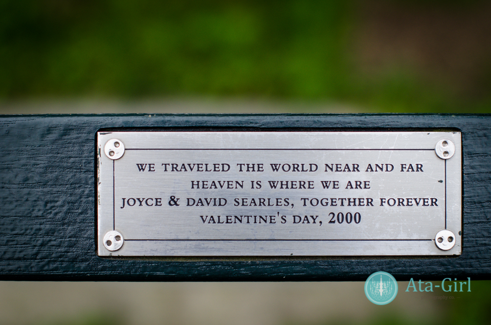 centra_park_benches_wedding_photographers_atagirl_photographyd7i_1772-jpg
