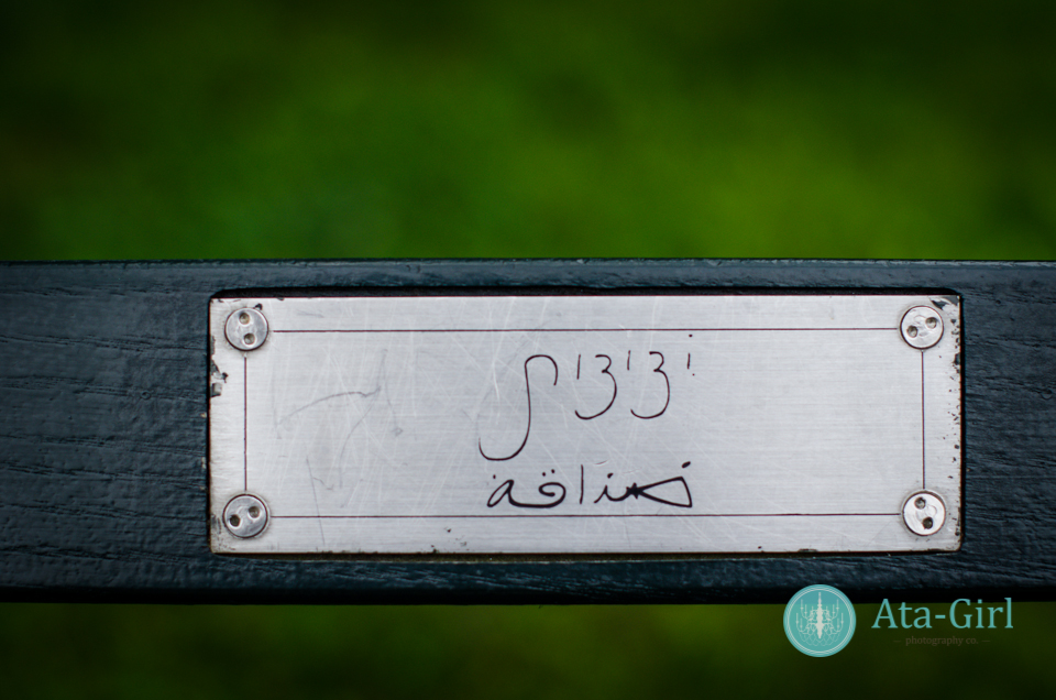 centra_park_benches_wedding_photographers_atagirl_photographyd7i_1773-jpg