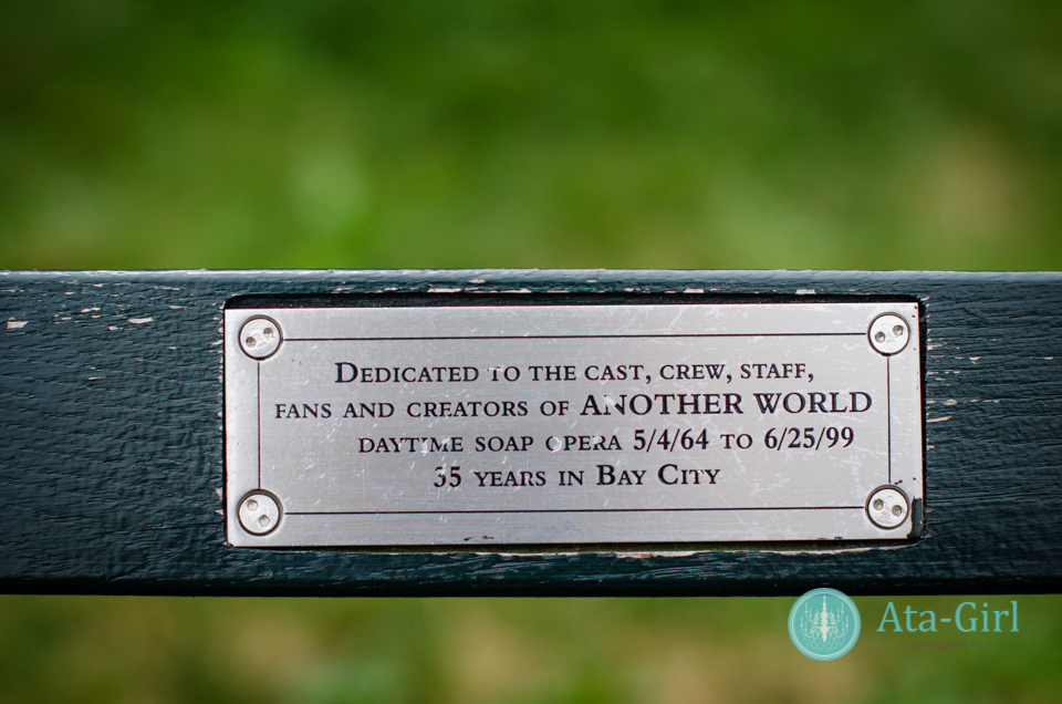 centra_park_benches_wedding_photographers_atagirl_photographyd7i_1774-jpg