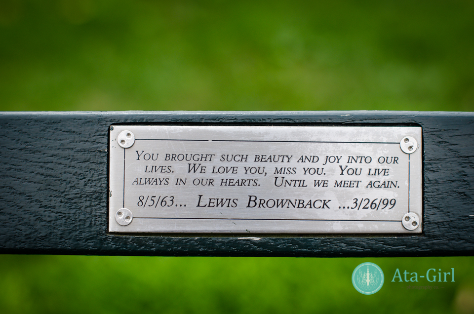 centra_park_benches_wedding_photographers_atagirl_photographyd7i_1775-jpg