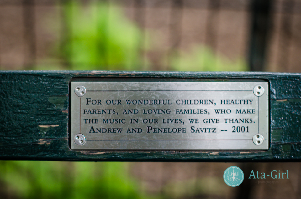 centra_park_benches_wedding_photographers_atagirl_photographyd7i_1780-jpg