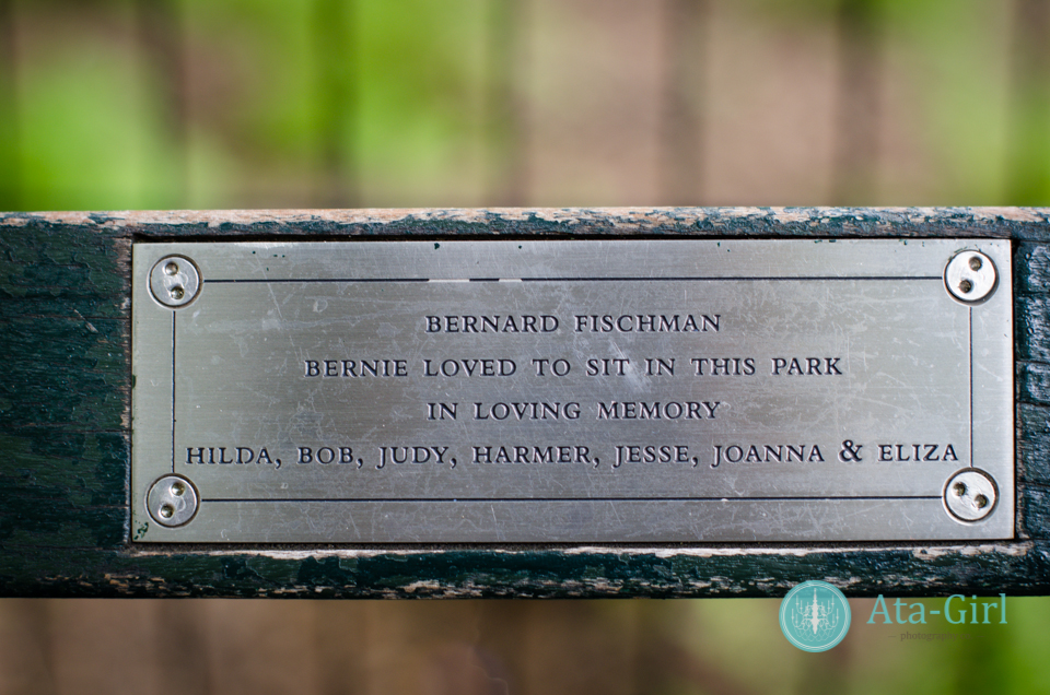 centra_park_benches_wedding_photographers_atagirl_photographyd7i_1781-jpg