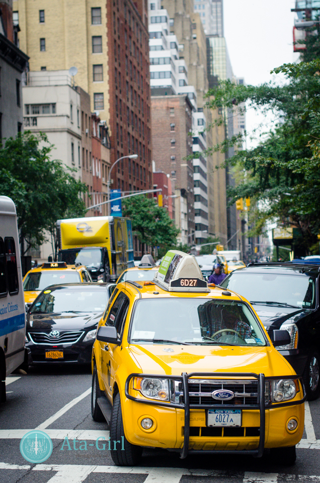 new_york_city_photograph_wedding__atagirl_photographyd7i_1543