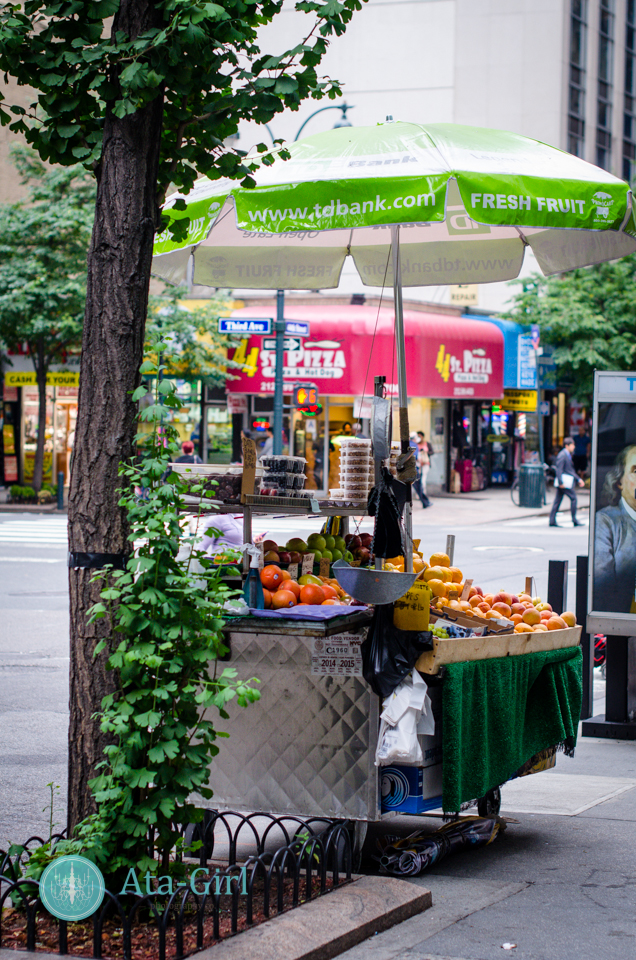 new_york_city_photograph_wedding__atagirl_photographyd7i_1558