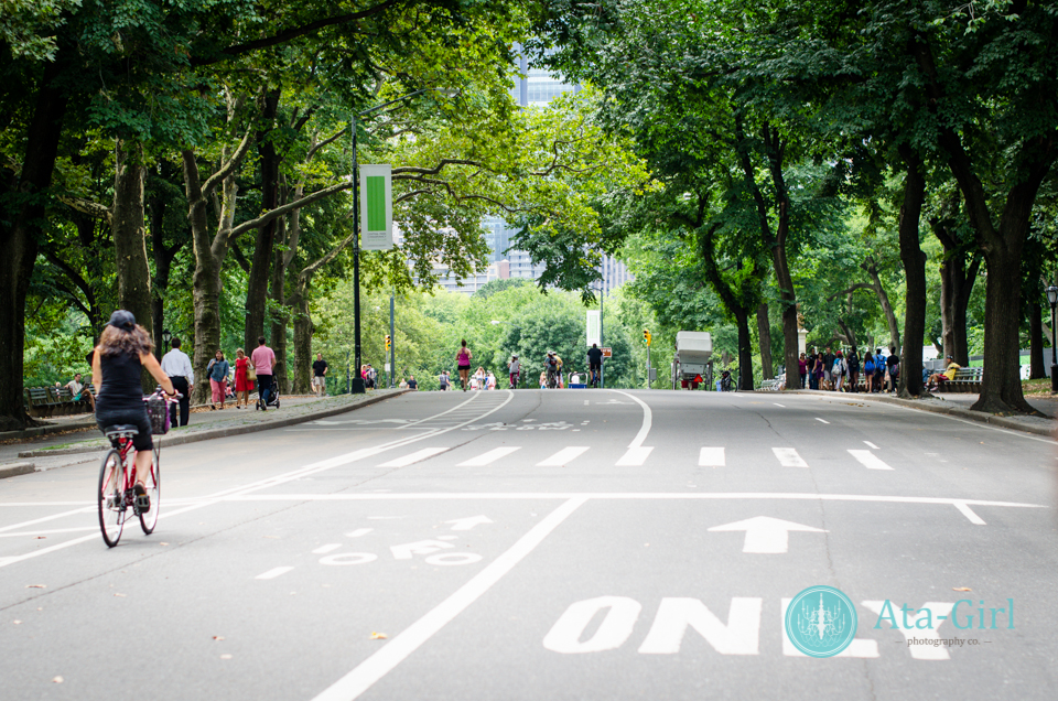 new_york_city_photograph_wedding__atagirl_photographyd7i_1786