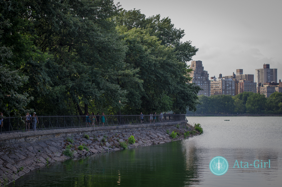new_york_city_photograph_wedding__atagirl_photographyd7i_1990