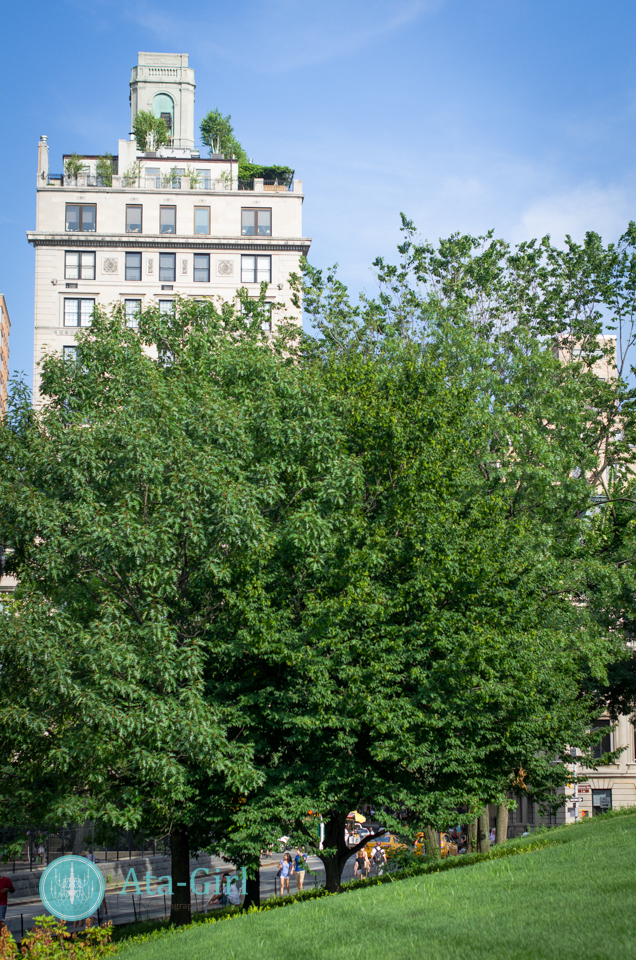 new_york_city_photograph_wedding__atagirl_photographyd7i_2004