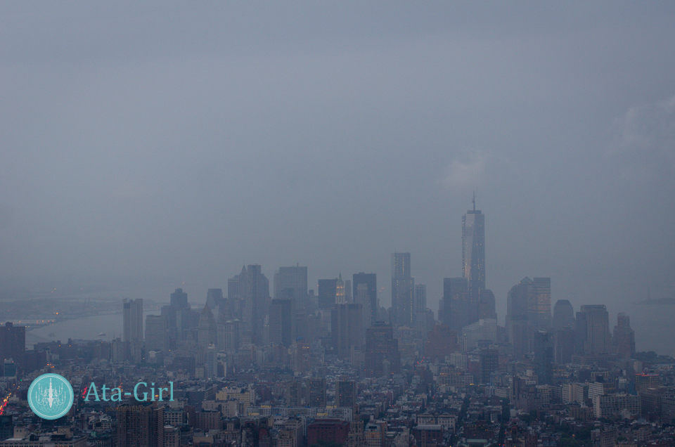 new_york_city_photograph_wedding__atagirl_photographyd7i_2247