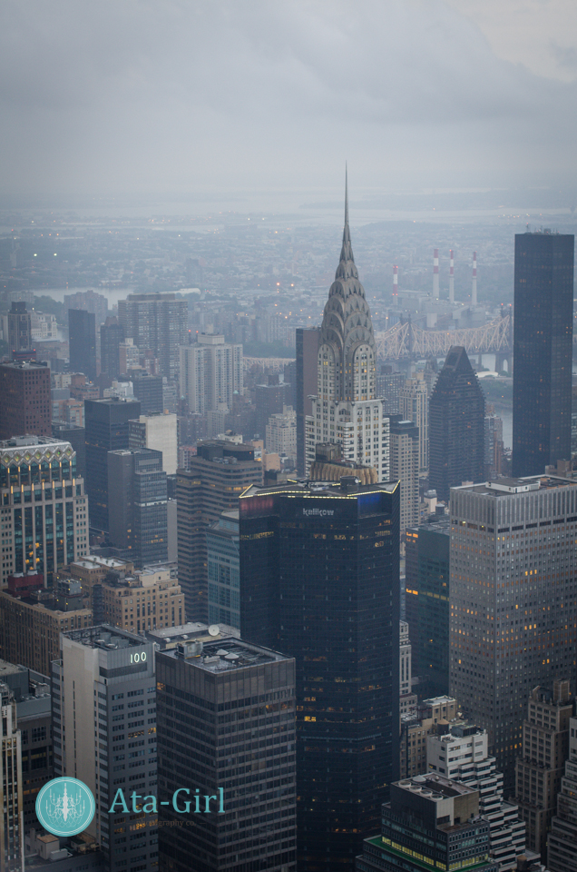 new_york_city_photograph_wedding__atagirl_photographyd7i_2259
