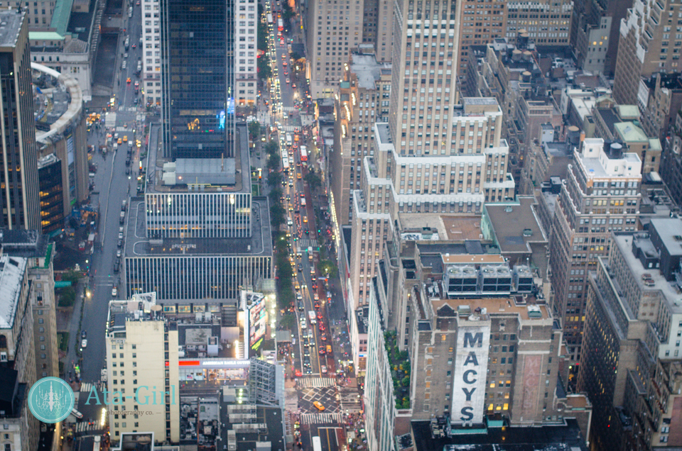 new_york_city_photograph_wedding__atagirl_photographyd7i_2263