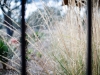 san_antonio_wedding_photographers_D7I_5998_Facebook