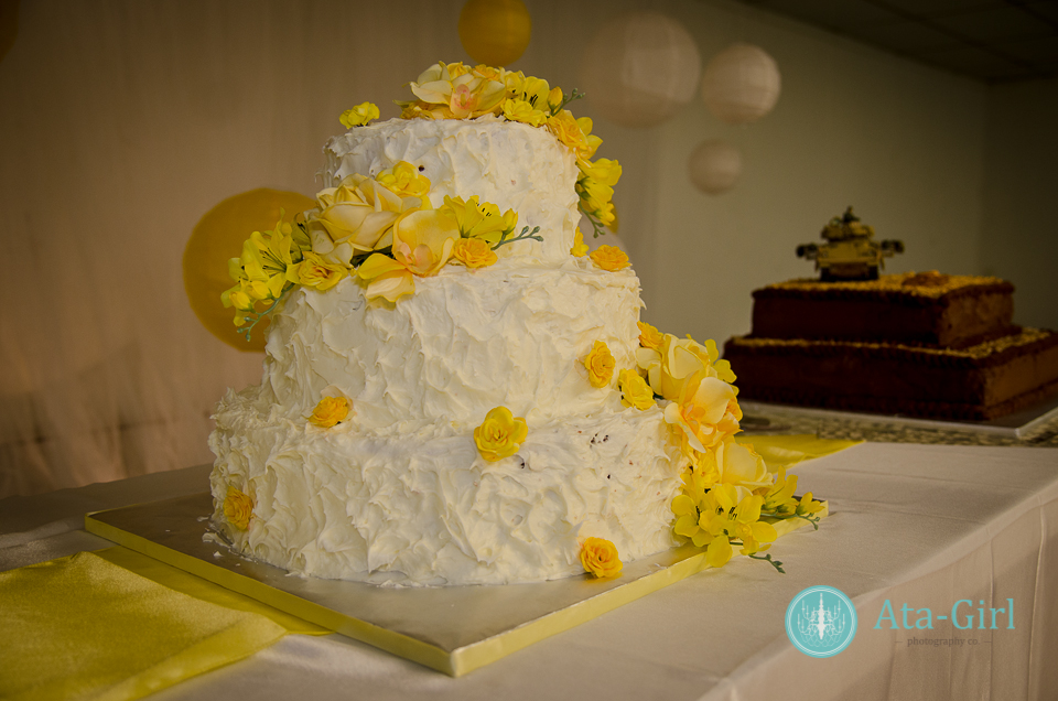 san_antonio_wedding_photographers_atagirl_photographyd7k_9396