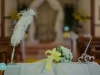 san_antonio_wedding_photographers_atagirl_photographyd7k_9006