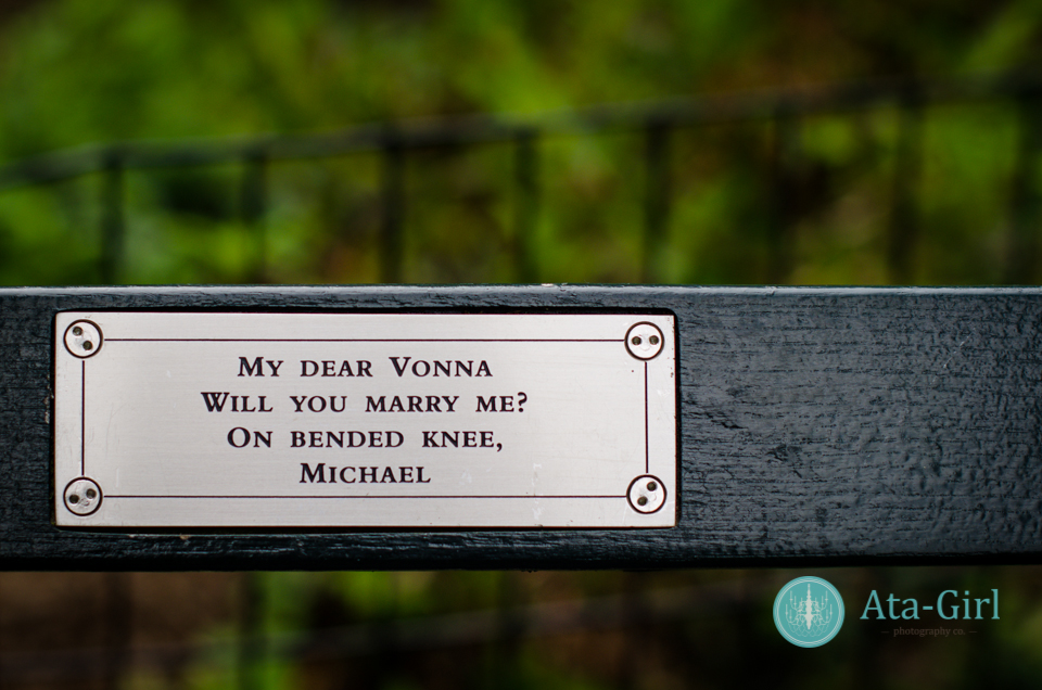 new_york_city_photograph_wedding__atagirl_photographyD7I_1759