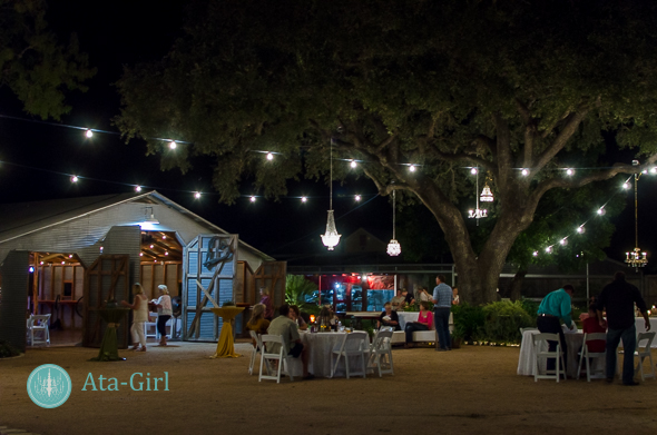 san_antonio_wedding_photographers_atagirl_photographyD7I_4501