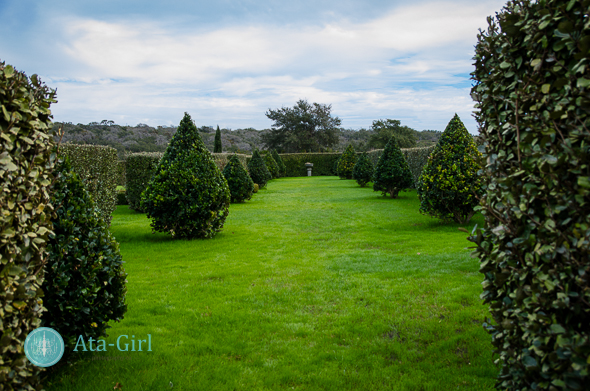 texas hill country wedding venue san_antonio_wedding_photographers_atagirl_photographyD72_9884-Edit