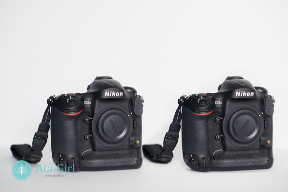 what's in my wedding photography bag