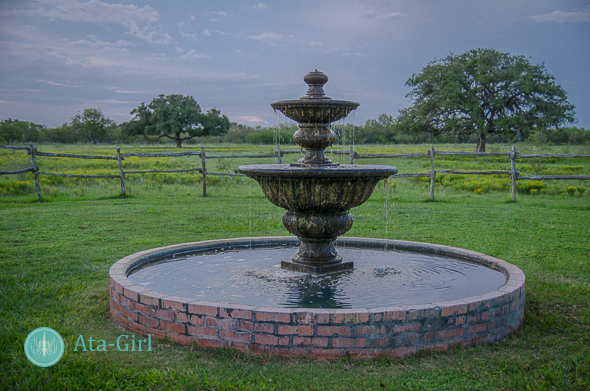 master your photography craft san_antonio_wedding_photographers_atagirl_photographyD7I_7135-Edit