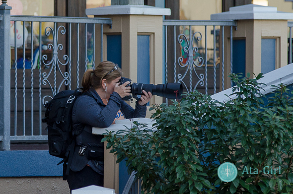 a photographer hiding behind a bush secretly shooting a marriage proposal happening without one of the person's knowledge by San Antonio TX Wedding Photographer Tammy Blalock, Ata-Girl Photography Co.