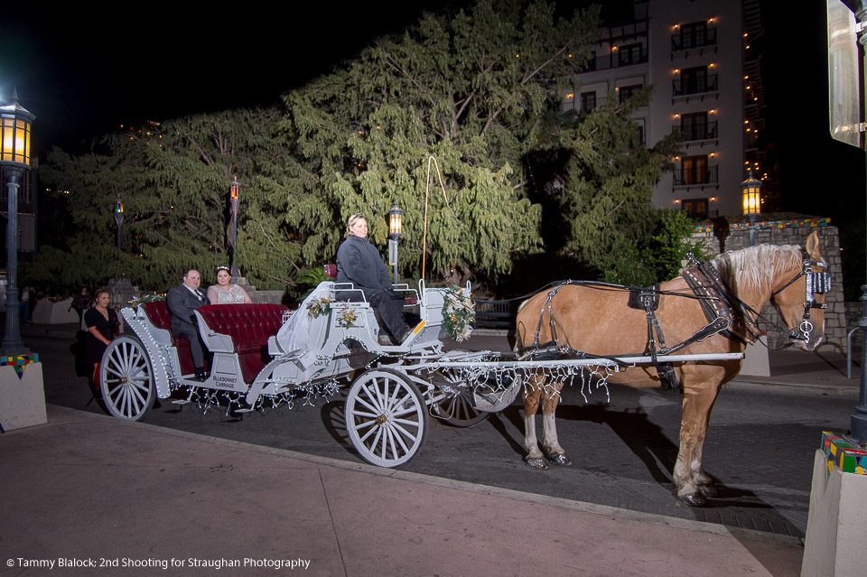 san antonio carriage rides after a wedding