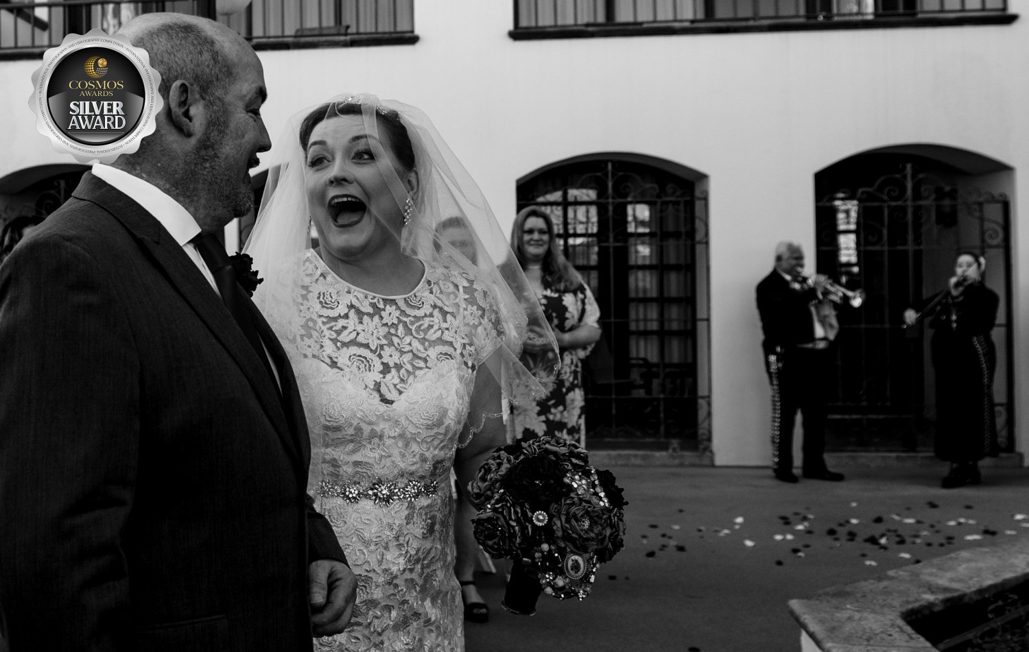 2020 Cosmos Trimester 1