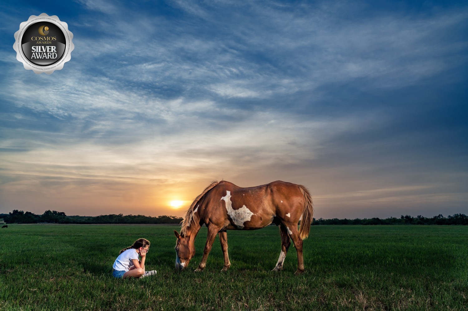 2022 Cosmos Trimester 2-3